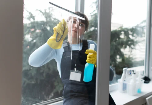 Nettoyage de vitres intérieures et extérieures à Yzengremer